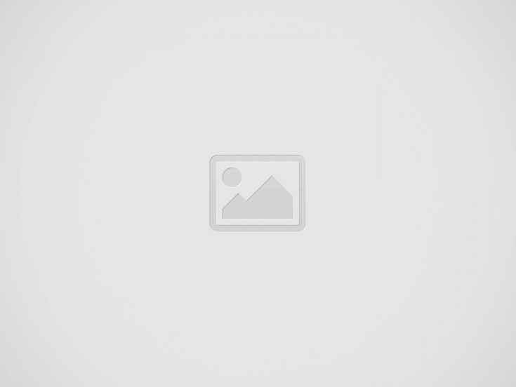 plus-size lingerie brands