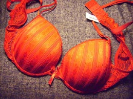 5 biggest bra myths