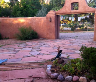 Taos