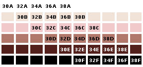 Universal Bra Size Chart