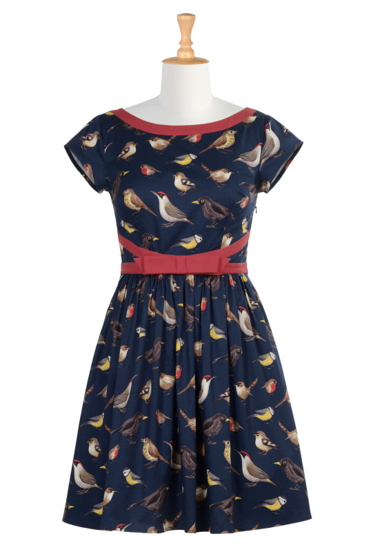 curve friendly fashions
