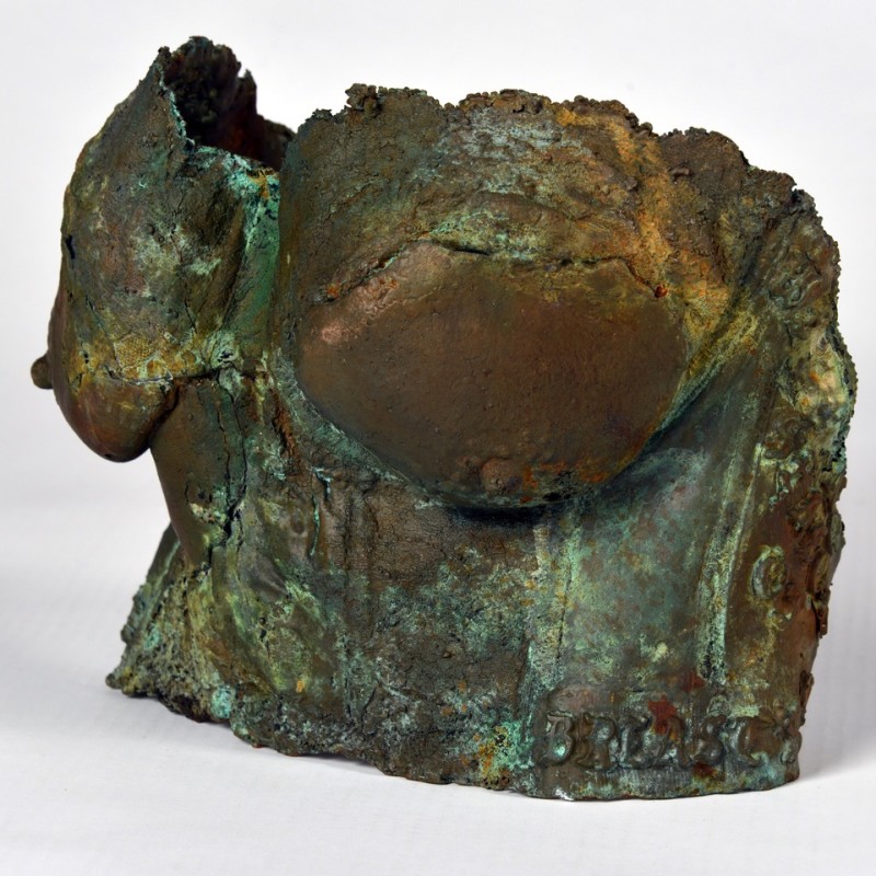 Mary Coss Bronze Busts