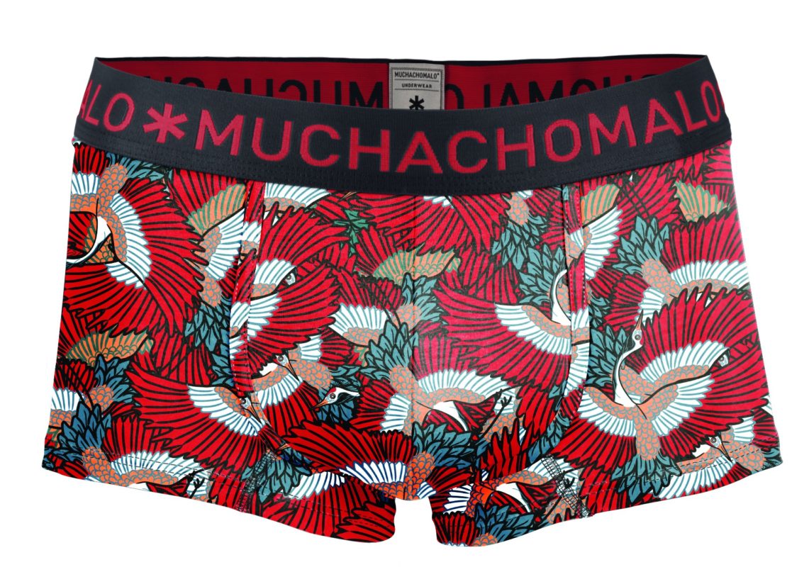 men's holiday underwear