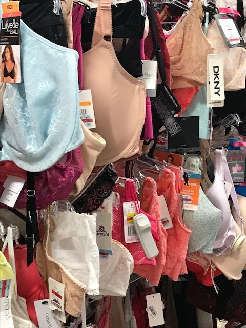 bra zone book giveaway