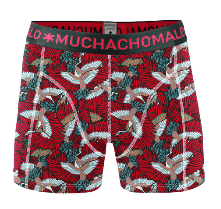 mens holiday underwear