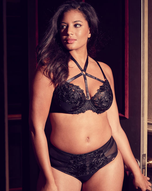 harness bras