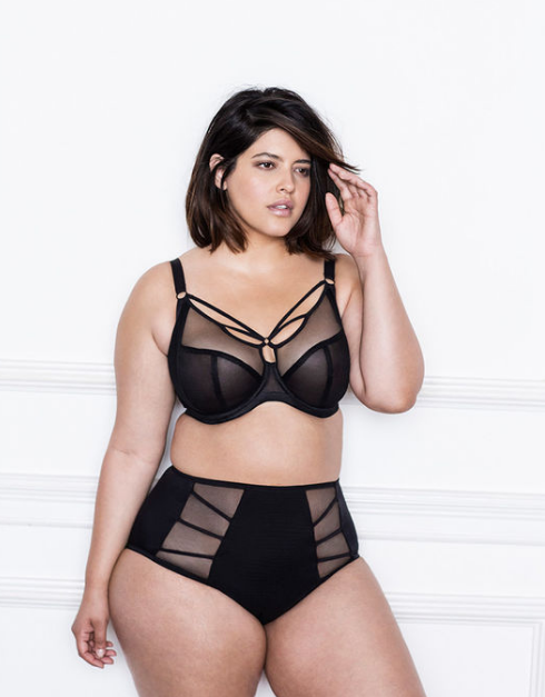 harness bras