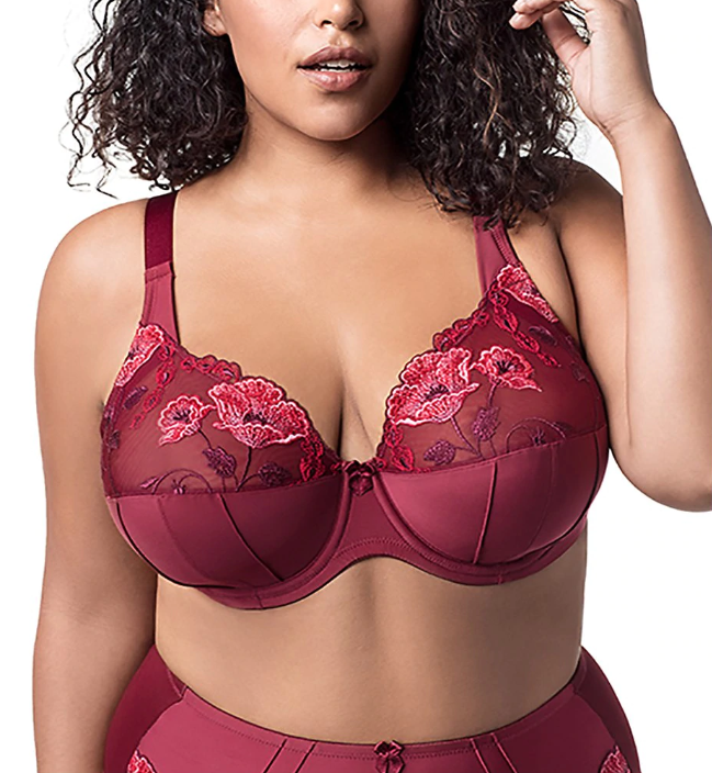 embroidered bras